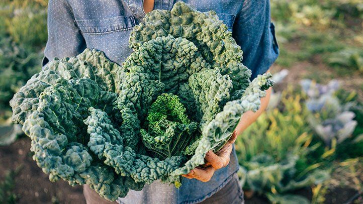 kale